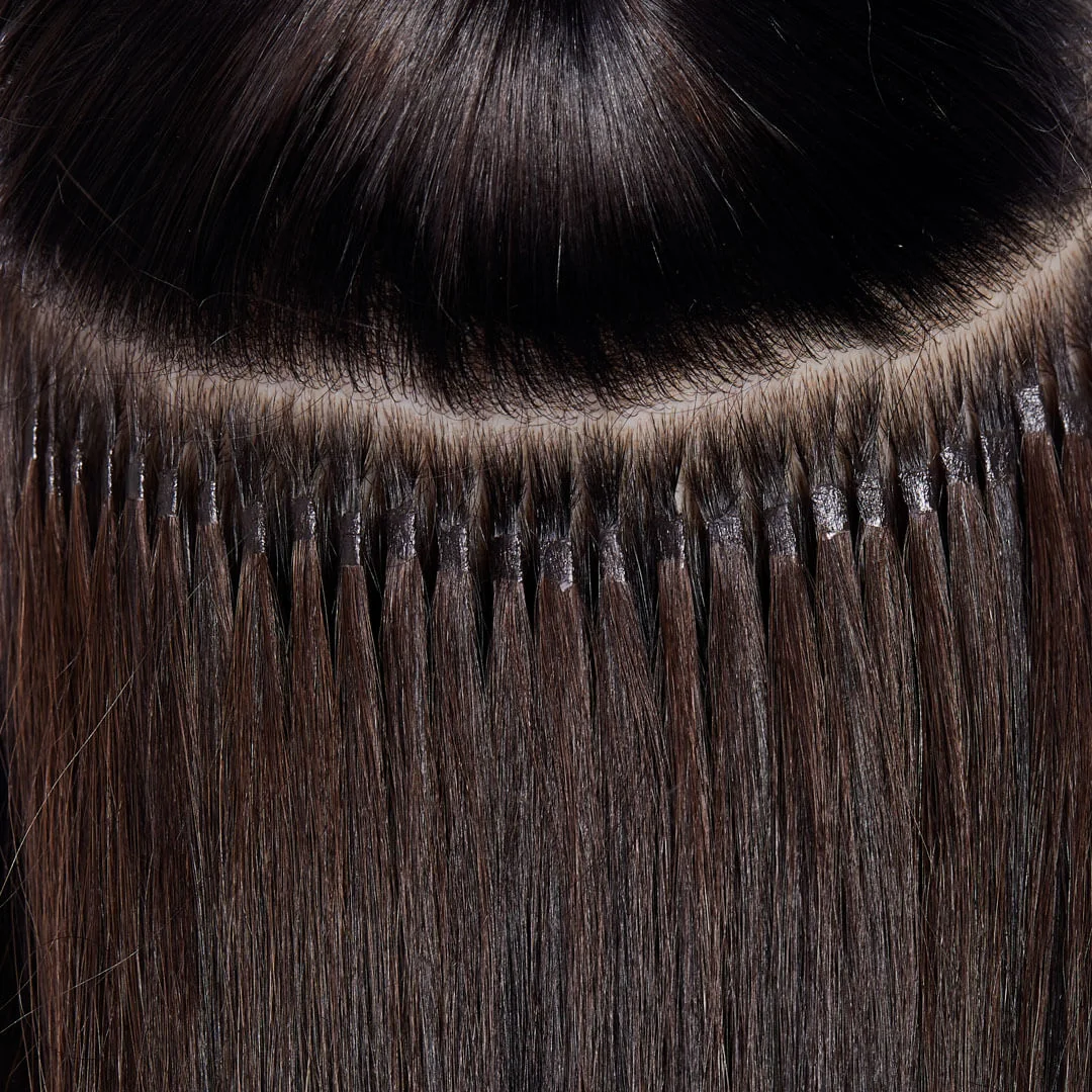 Extensions Detailaufnahme